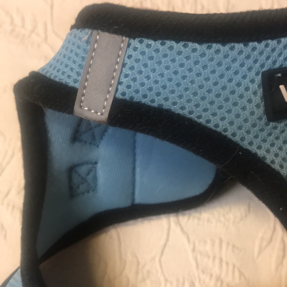 Blue walking harness - Picture 3 of 9